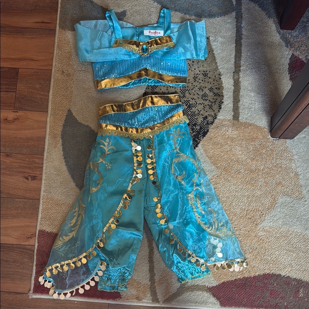 Toddler girls (2t-3t) princess costume